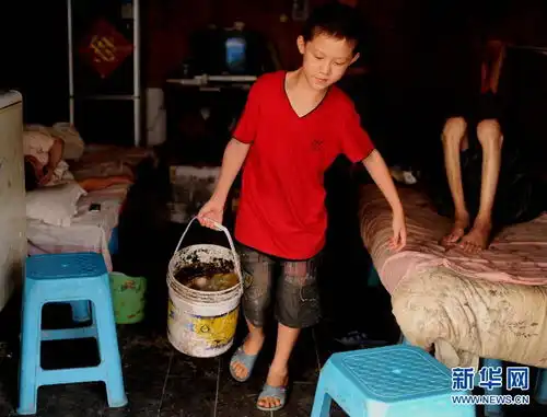 父母双双卧病不起12岁男孩撑起一片天