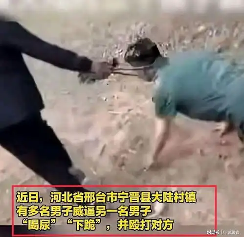 闹大了河北宁晋县男子遭多人欺辱,像狗被牵着,教育局回应