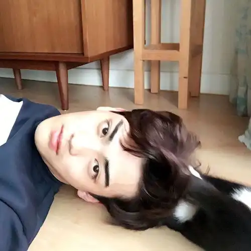 二呆辞男生头像韩中男头chenci
