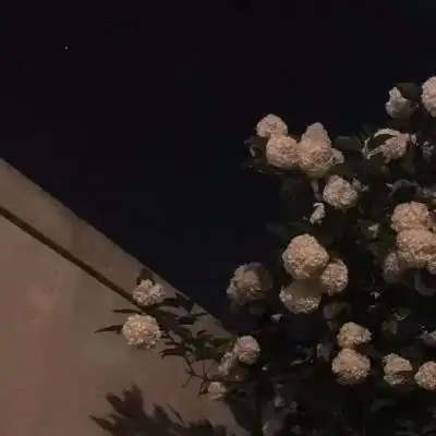 背景图寒遇日暮黄昏浪漫温柔
