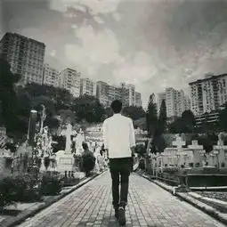 粤语男不听七友,女不听钟无艳
