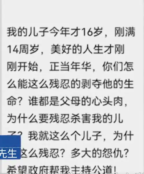 警方通报15岁少年遭2名男生杀害,李玫瑾未成年犯家庭长期赔偿