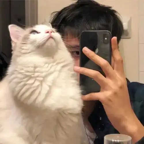 头像我对你仍有爱意但我无能为力