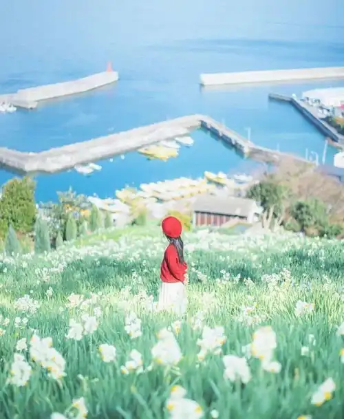 这位日本爸爸,把童话故事的场景,搬进了女儿的现实生活中宫崎骏