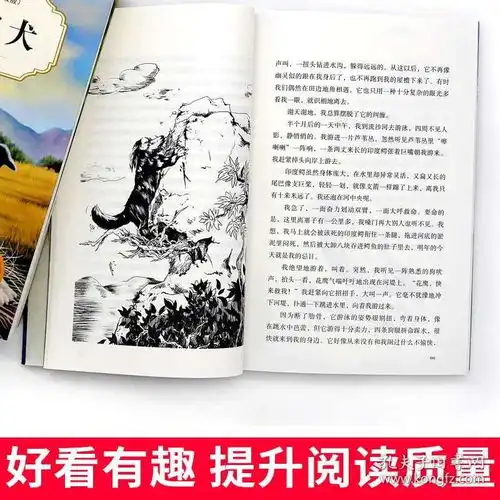 沈石溪中外动物小说精品系列升级版全套8册霸王龙父子情小学生三四五六年级815岁儿童文学熊猫快跑眼镜王蛇野狼谷少儿课外阅读书