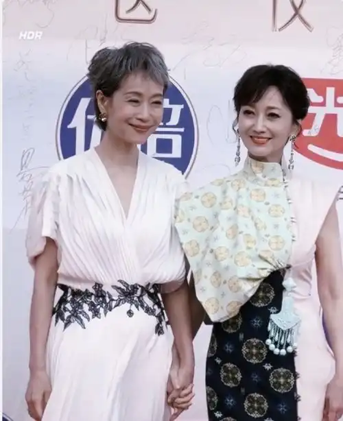 70岁赵雅芝61岁叶童合影一个有了褶子,一位美如30岁