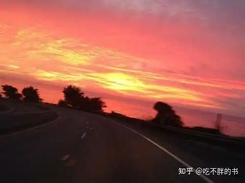 有没有什么关于爱情的文案
