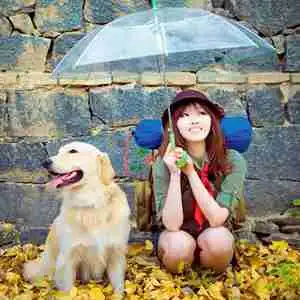 主人与狗伤感图片微信头像图片大全