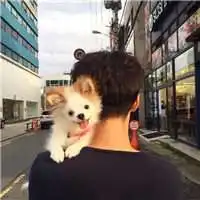 微信头像男生动漫抱猫微信头像图片大全
