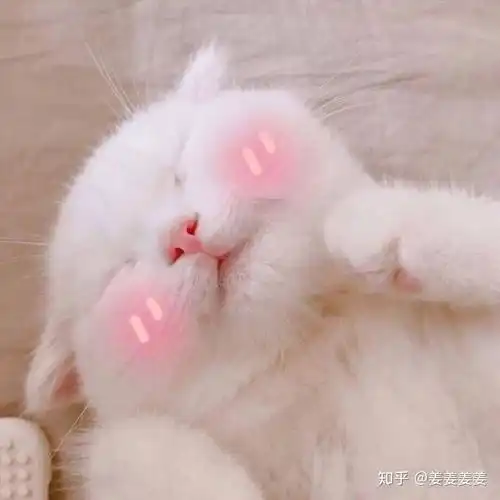 洁面乳选择正确的重要性
