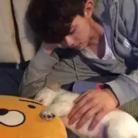 头像男抱宠物抱着宠物的男生头像