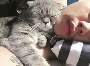 不都说猫咪很高冷吗我家这只什么鬼做饭都要抱着