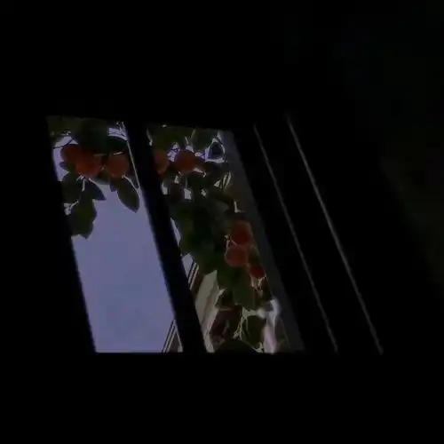 藏在评论区中的惊鸿文案