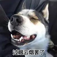 小奶狗头像男超萌小奶狗可爱头像
