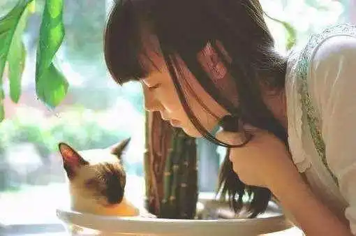 闺蜜早餐爱吃一个鸡蛋,婚后,她婆婆不给她吃鸡蛋竟然是这个原因