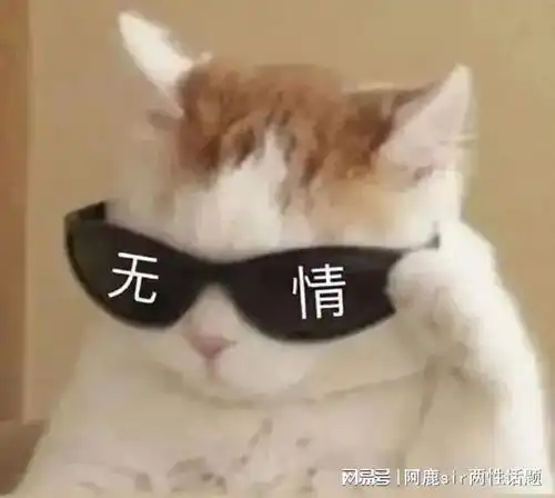 为什么男人有女朋友,还是喜欢看片片
