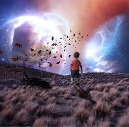 小男孩仰望星空