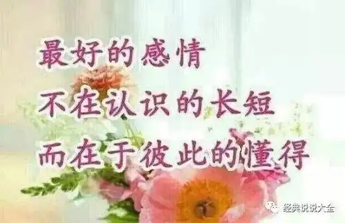 把感情看淡放下的句子,句句经典,放下了也就释然了