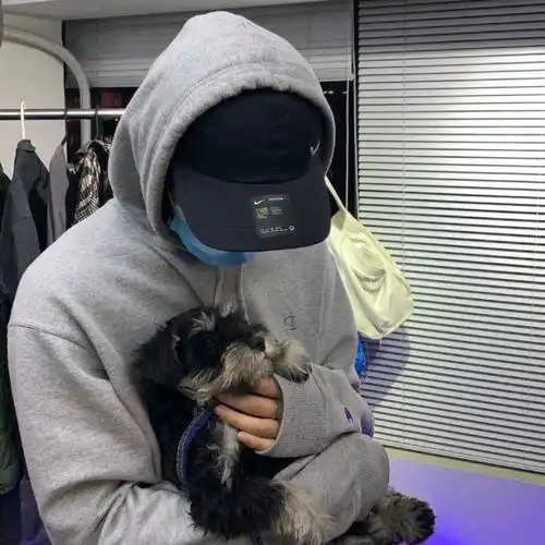 男生头像适合发朋友圈的男头