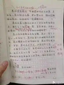 初二女生作文爆红网络愿你一辈子心上没有补丁
