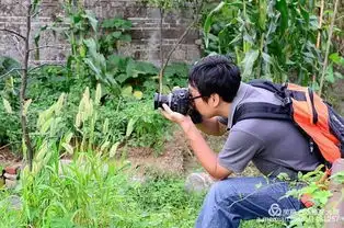 郴州小东江旅游摄影住宿攻略