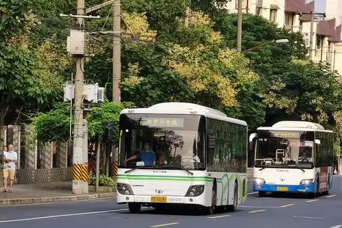 上海申川专线路上海申川专线路公交车路线上海申川专线路公交车路线查询上海申川专线路公交车路线图