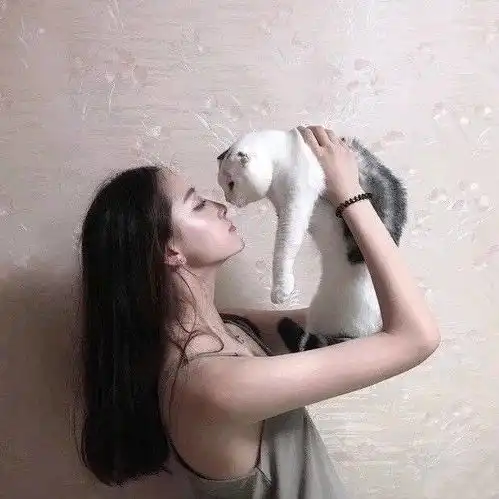 玩家的头像是用手抱猫,却被光子告知有风险因素,风险是什么