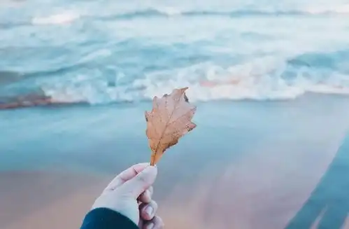 一个建议不要让这些人,干扰你的命运和因果
