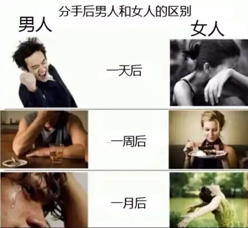 这首歌,用4分钟唱出千万人的心声,听完我泪目了
