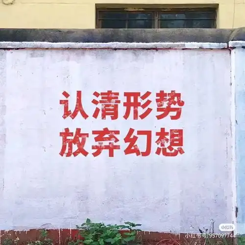 哔哩哔哩专栏