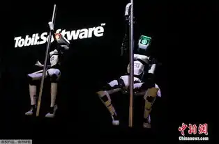 德国汉诺威电子展举行机器人献艺大跳钢管舞