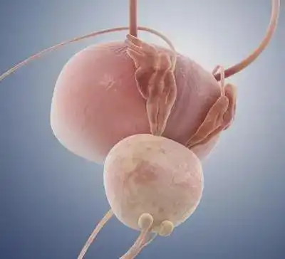 前列腺炎会导致前列腺癌吗