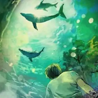 在线收听三语开泰荔枝