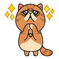少女心爆棚的猫咪头像可爱大全2017卡其色的猫

