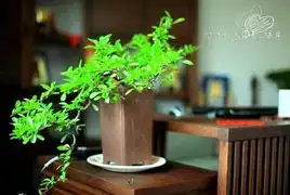 经济适用男4万5装55平小家我的蜗居我做主