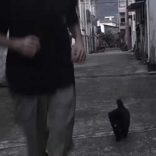 想跟你说的话,都在歌里了
