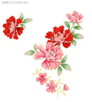 手绘牡丹花