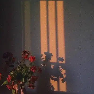 仿佛说到了你心里的句子