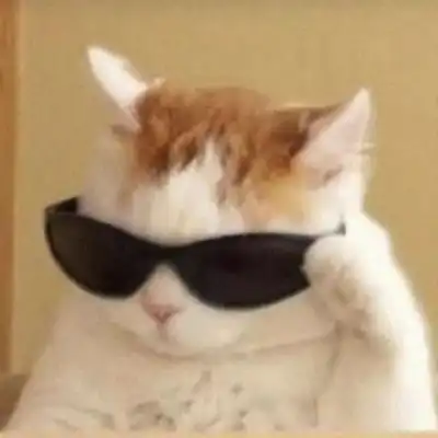 沙雕男
