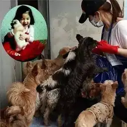 宋慧乔结婚36岁的她凭什么总能撩到男神