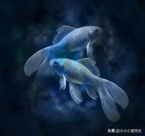 各个星座暧昧期男生的表现
