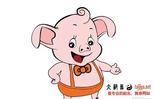 2019猪年宝宝名字大全男孩篇