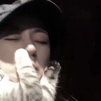 有没有那些男生半身抱着动物的头像
