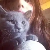高清一男一女抱着猫的情侣头像微信头像图片大全