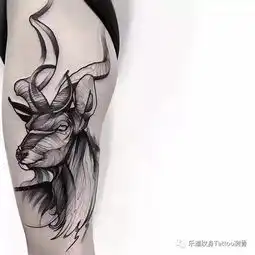 纹身素材鹿
