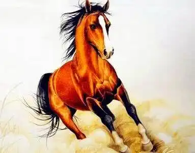 此4生肖男上进心十足,克服各种困难,成为父母骄傲
