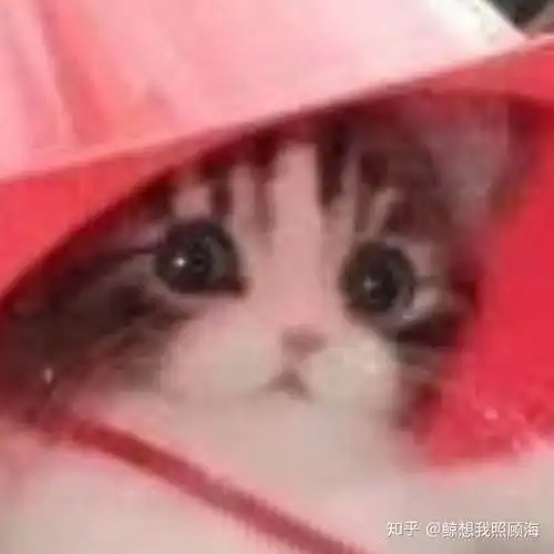 跟男朋友一起玩和平精英我总是看不见人然后他总是凶我怎么办