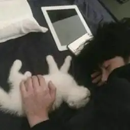 找情头..强行情头
