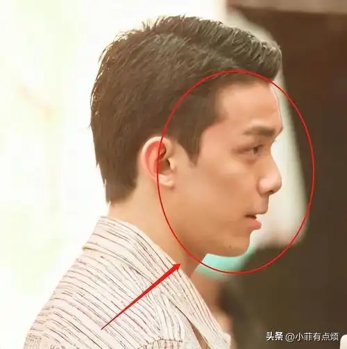 一个丑鼻子毁一张脸6位男星告诉你,硬件不完美该帅还是帅
