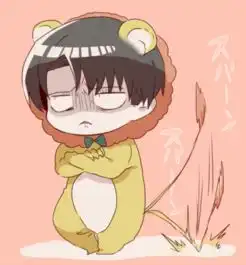 犬夜叉的问题
